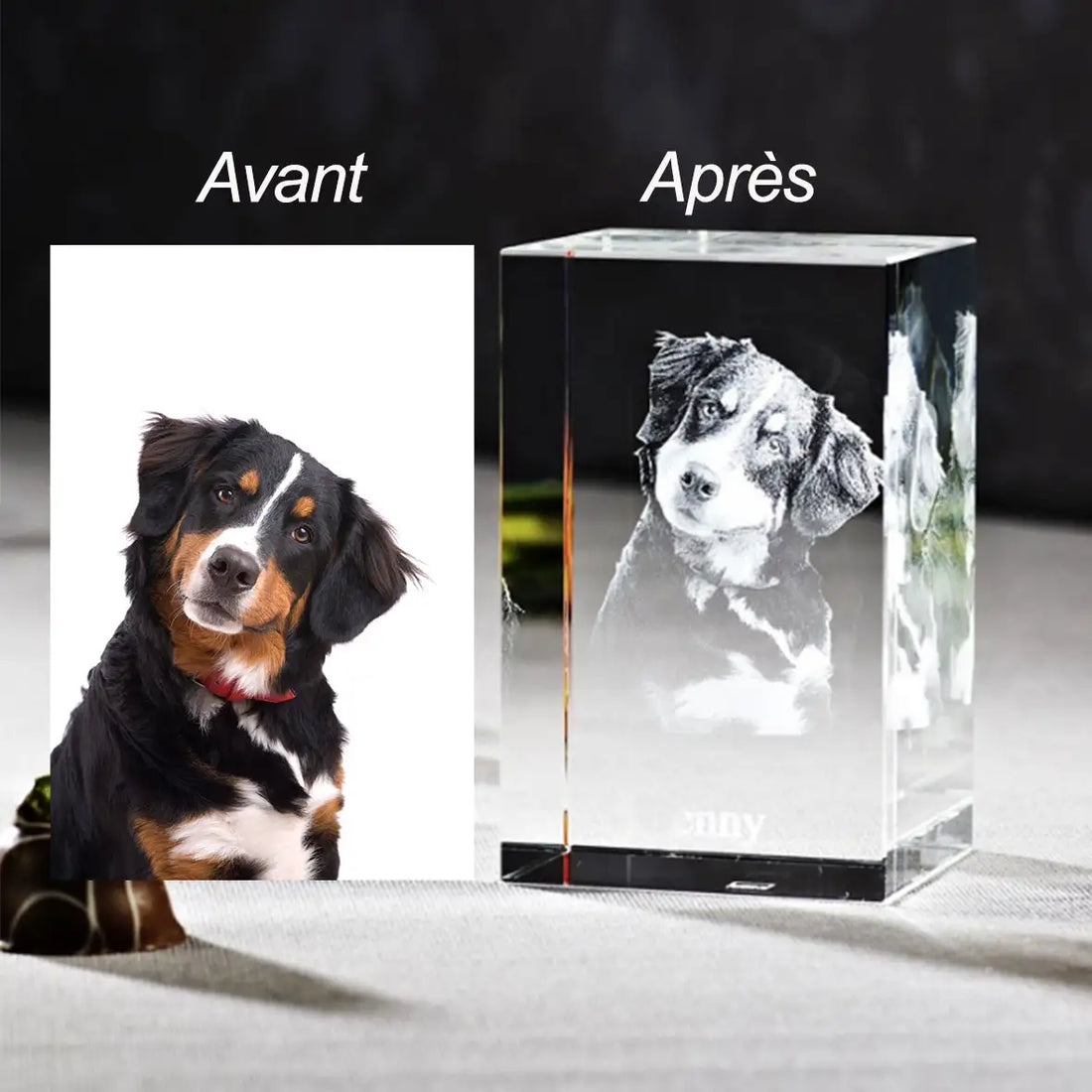 Photo animal gravée en 3D