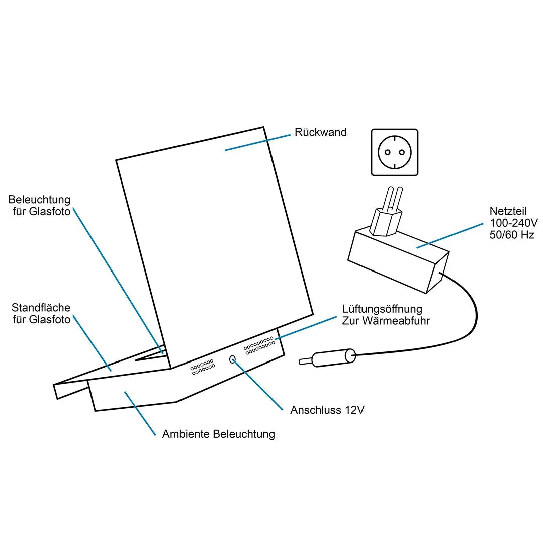 Intestin Bloc XL + Socle lumineux