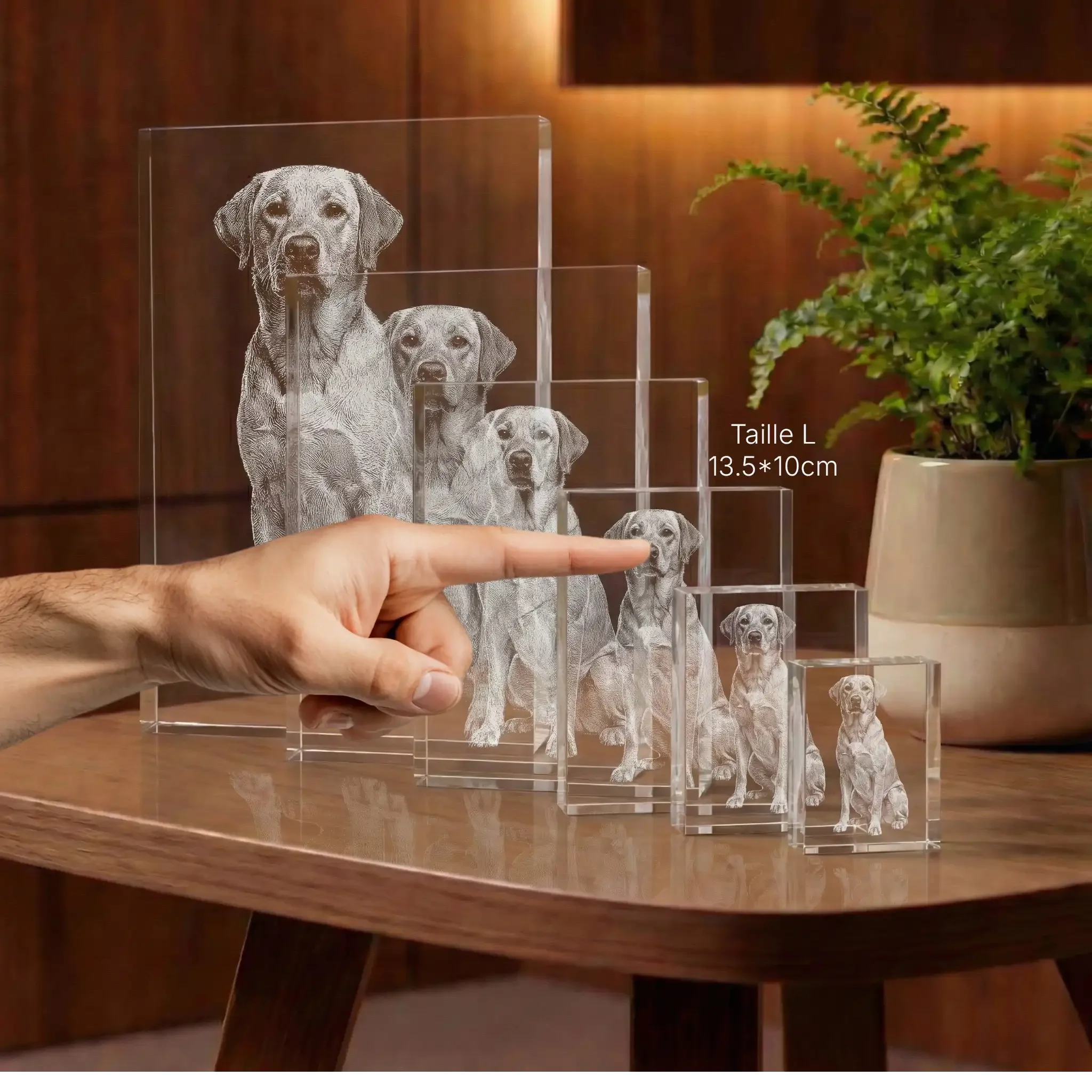 Cadeaux en verre personnalisés, gravure 2D de chien sur cristal, différentes tailles