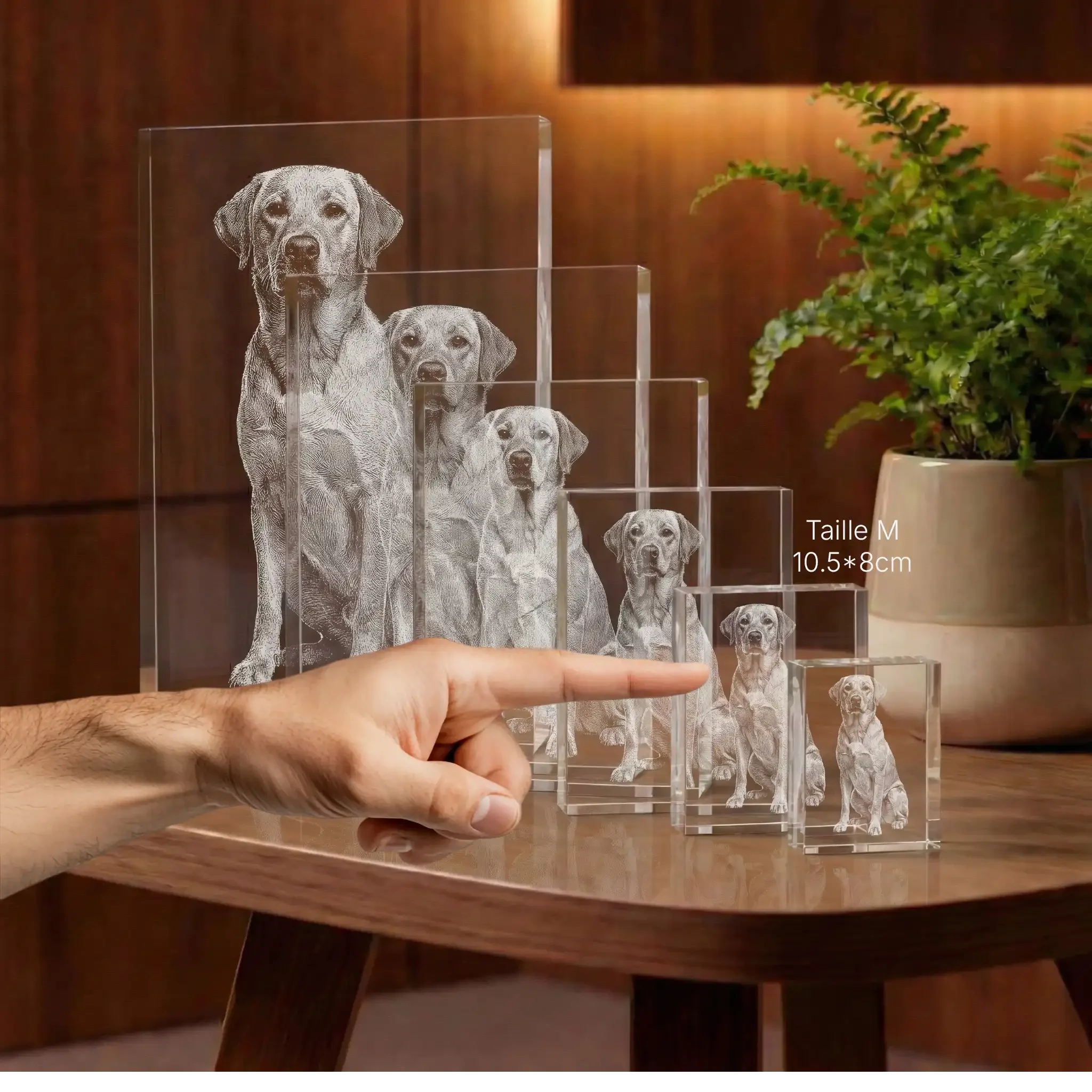 Prismes en verre avec gravure 2D d'un chien, tailles variées, idée cadeau personnalisé