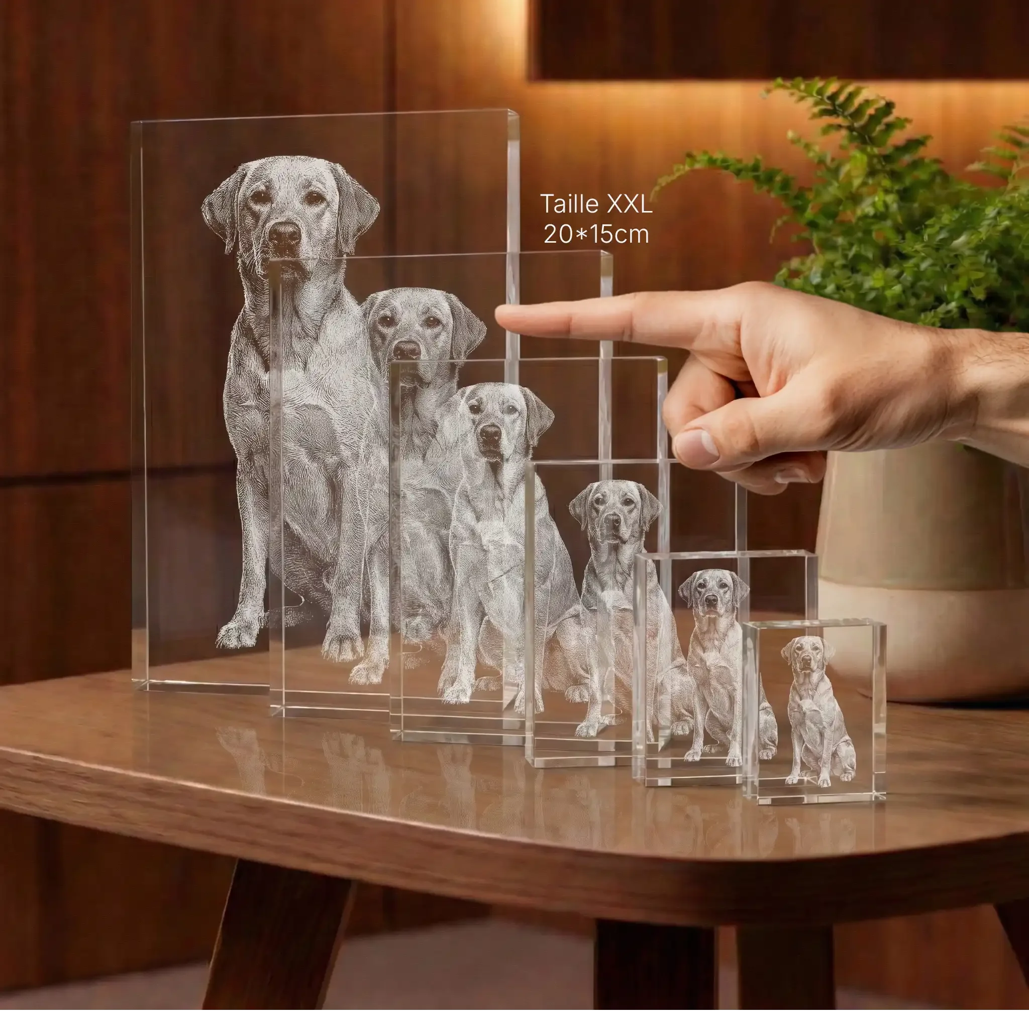 Photo de chiens gravée dans des blocs de verre de différentes tailles, cadeau personnalisé