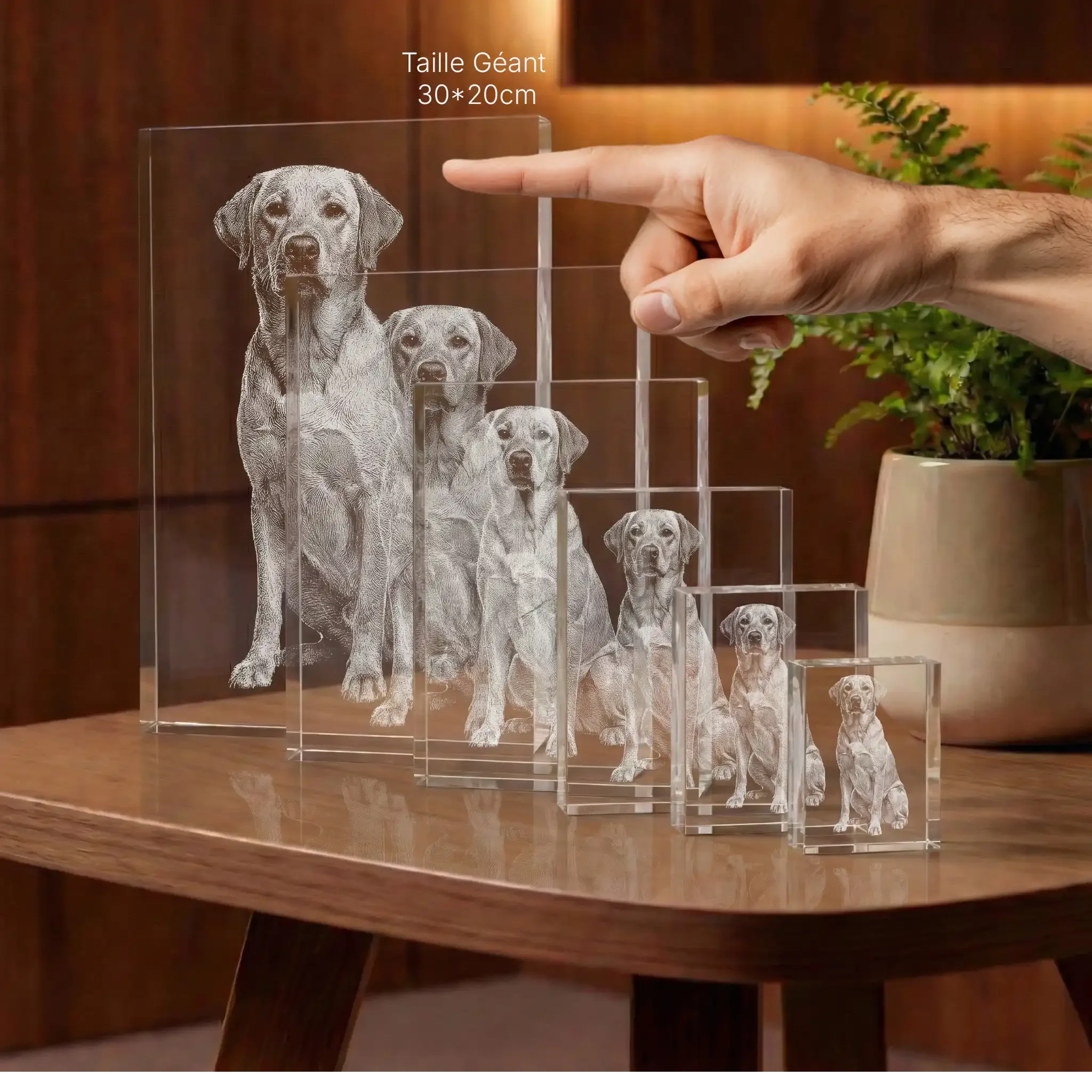 Prismes en verre avec gravure personnalisée de chien, différentes tailles sur table
