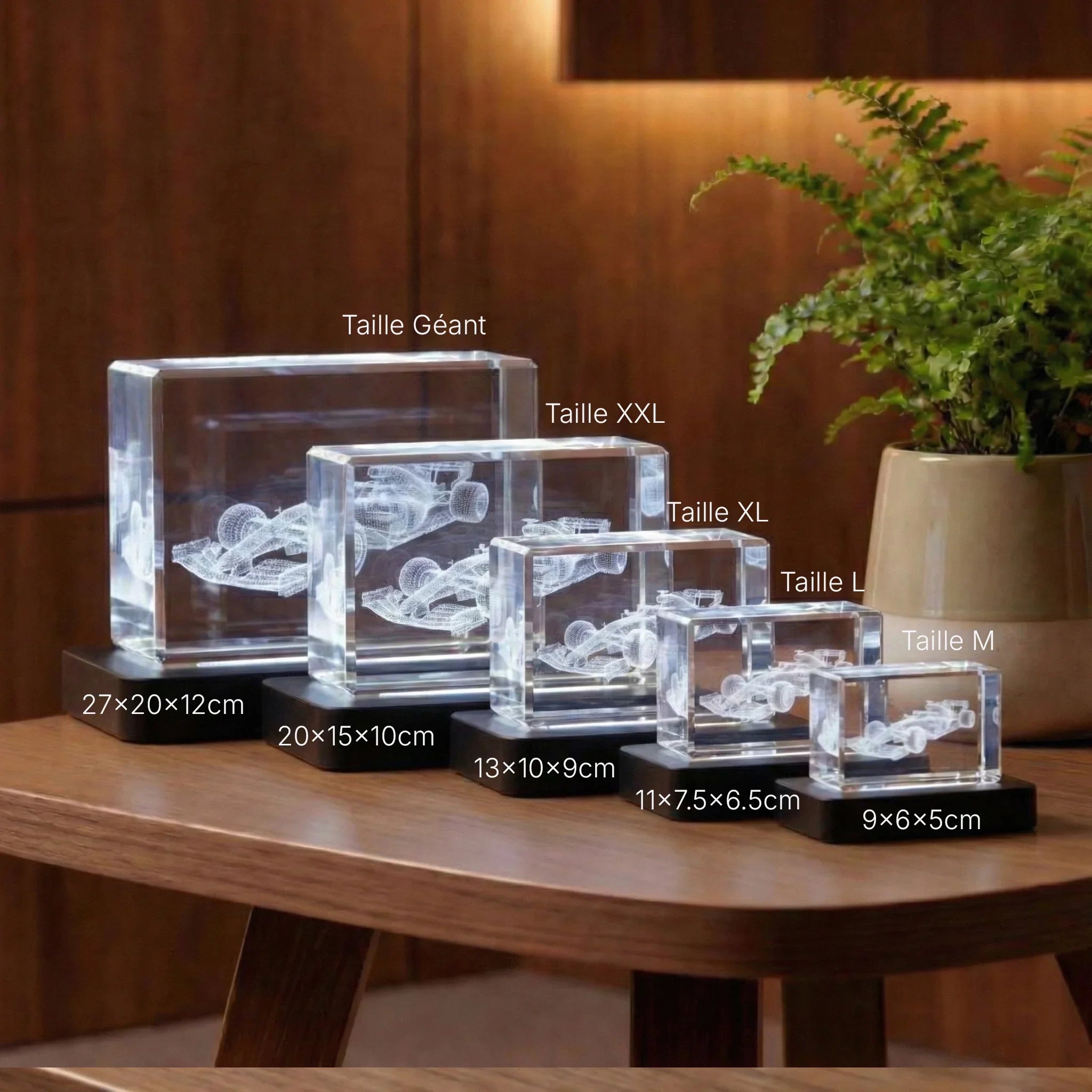 Cubes en verre gravé 3D voiture de course, cinq tailles, sur table en bois