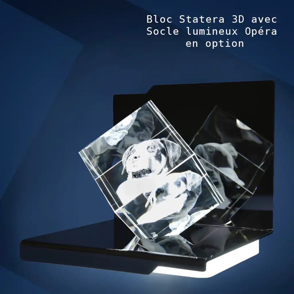 Statera XL Bloc de Verre Gravé Laser 3D - Cadeau Unique et Émotionnel