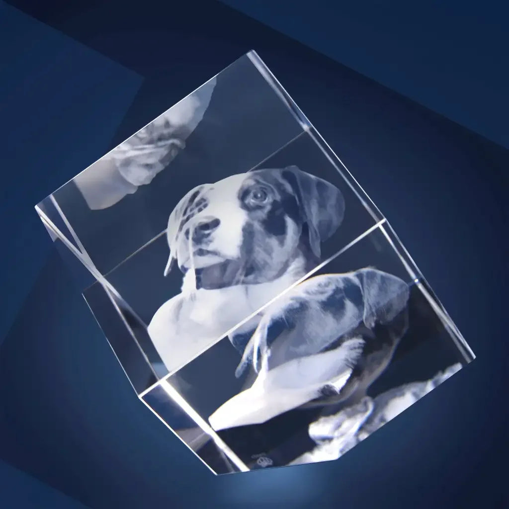 Statera XL Bloc de Verre Gravé Laser 3D - Cadeau Unique et Émotionnel