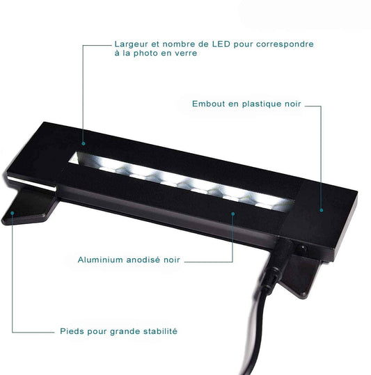Détails Socle lumineux à LEDs Polaris 60, conçu pour éclairer un verre gravé en 2D au laser, offrant une mise en valeur élégante.