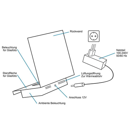 Intestin Bloc XL + Socle lumineux