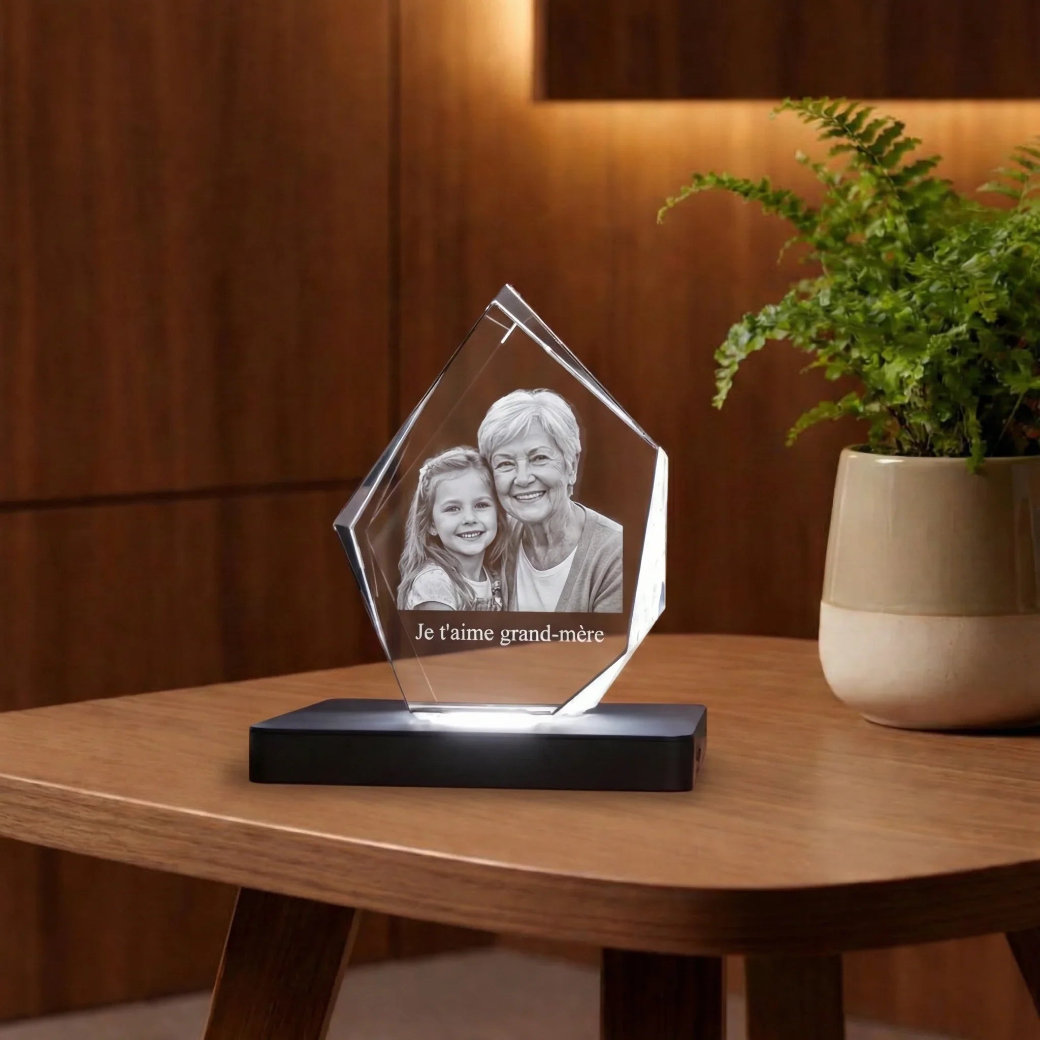 Alpin Bloc de Verre Gravé 3D - Souvenir Intemporel