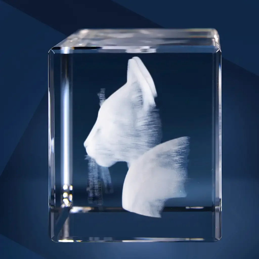 Bloc de Verre L Paysage - Gravure Laser 3D Élégante