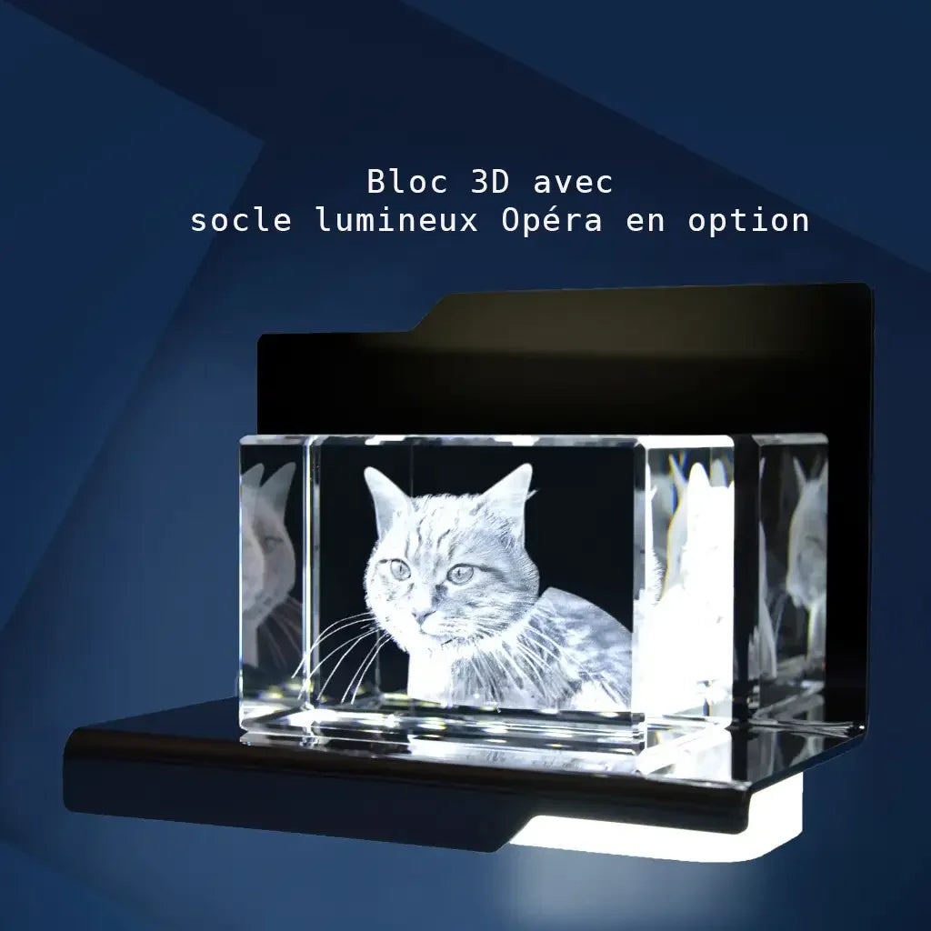 Bloc de Verre L Paysage - Gravure Laser 3D Élégante