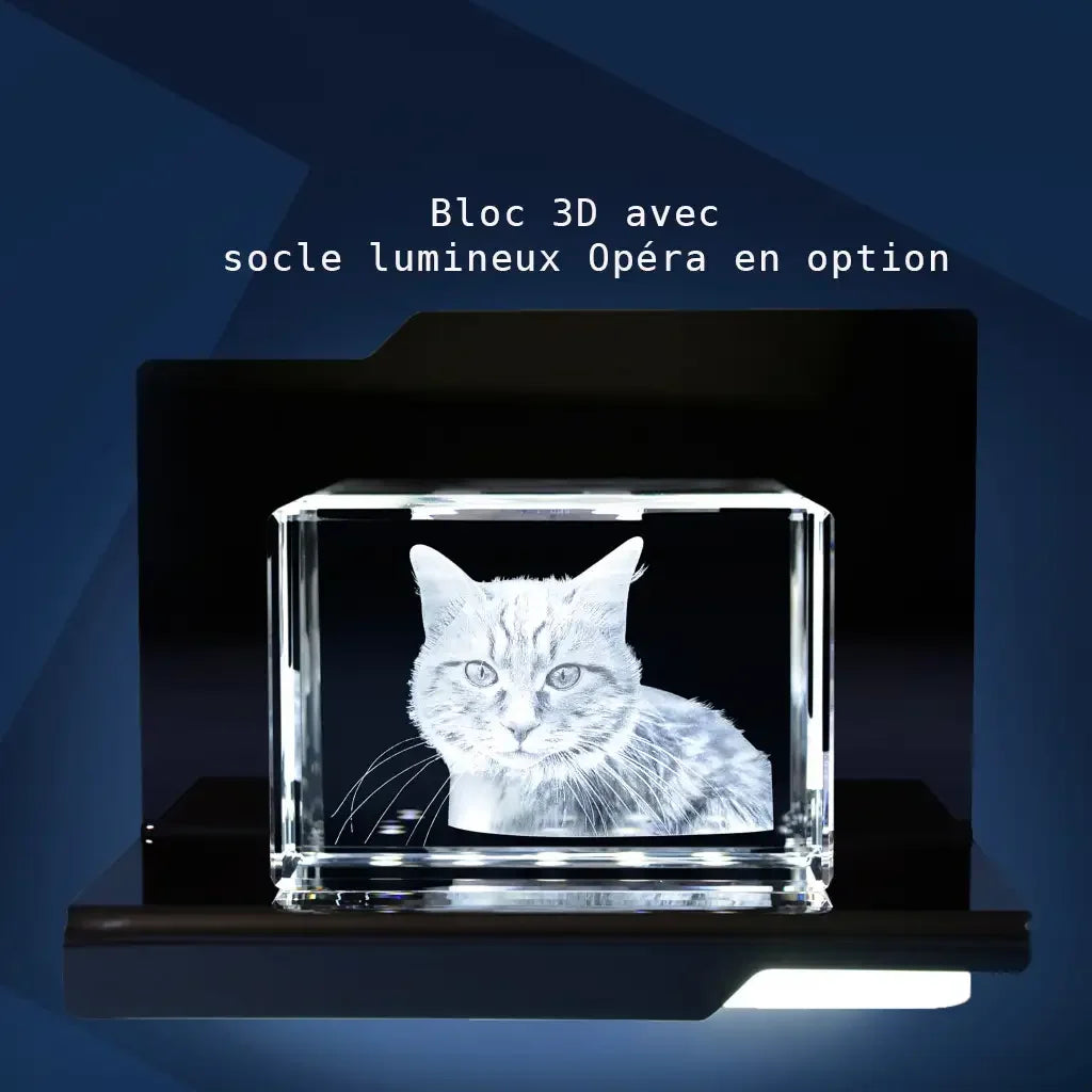 Bloc de Verre L Paysage - Gravure Laser 3D Élégante