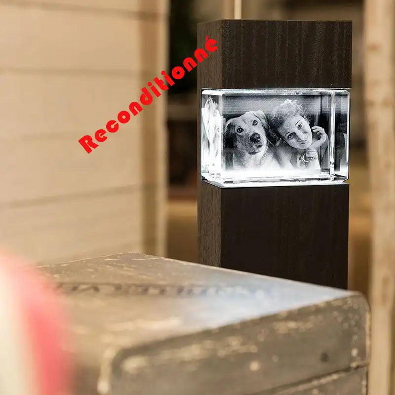 Colonne lumineuse à LED pour bloc de verre L paysage Reconditionnée