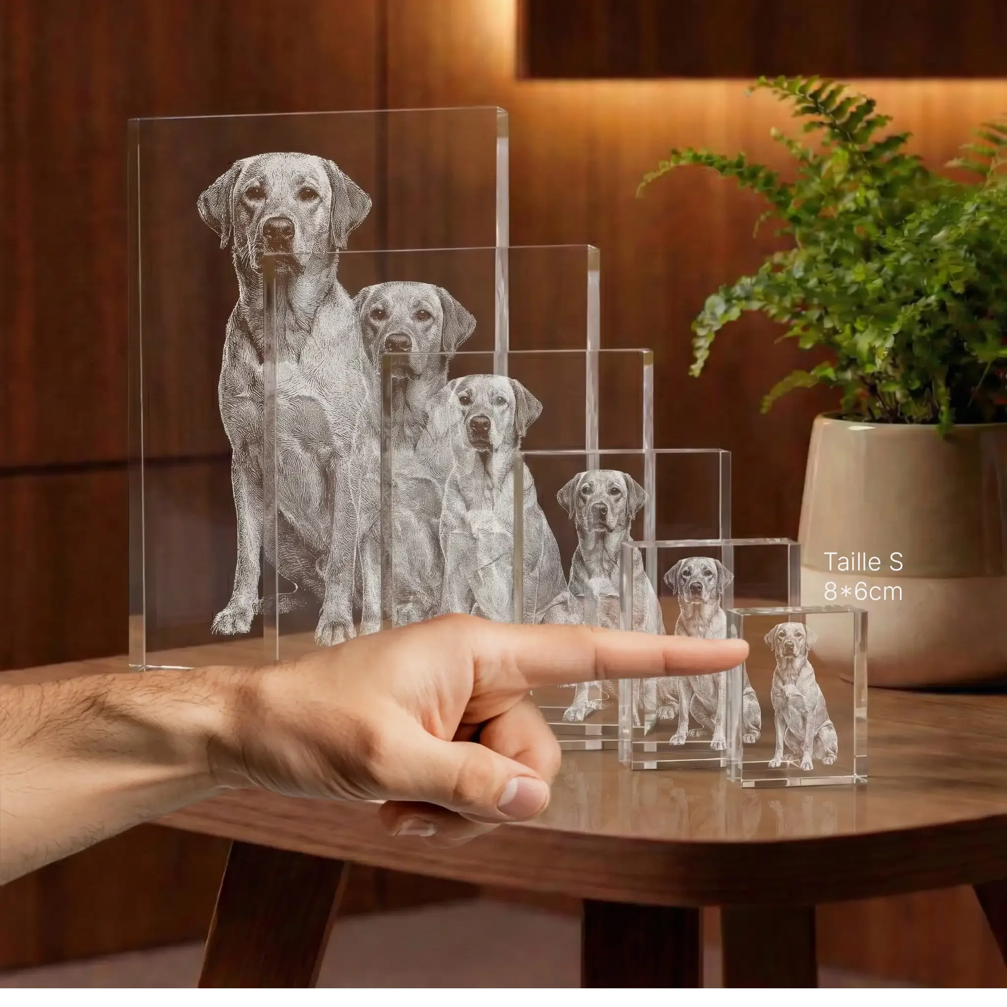 Plaque 2D Prisme Portrait Gravée - Cadeau Élégant