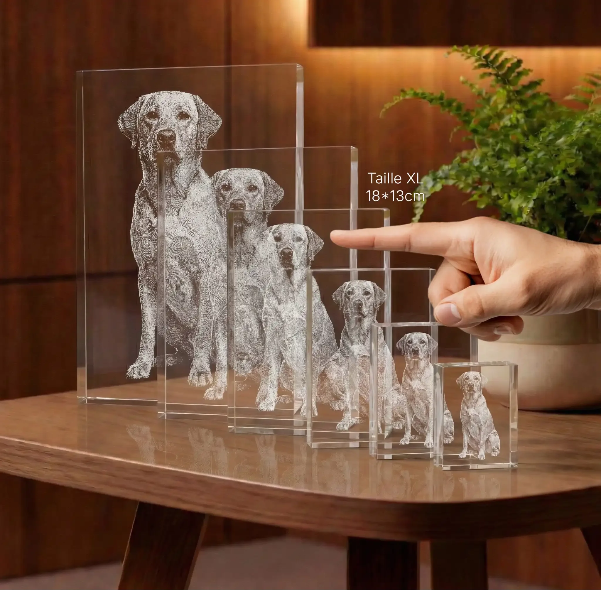 Plaque 2D Prisme Portrait Gravée - Cadeau Élégant