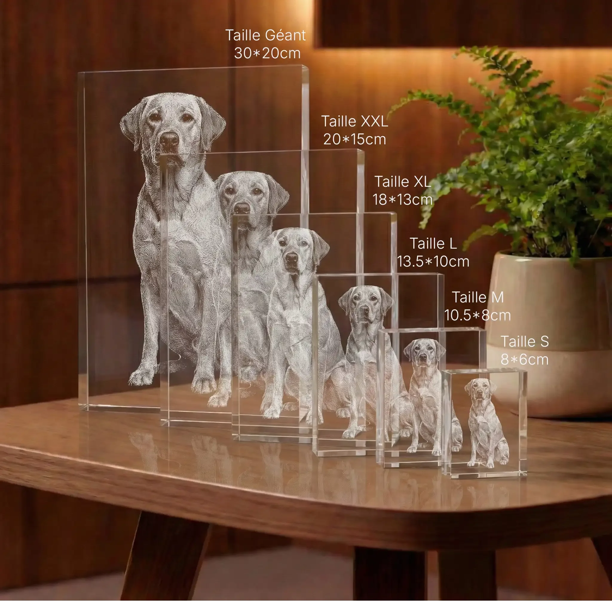 Plaque 2D Prisme Portrait Gravée - Cadeau Élégant