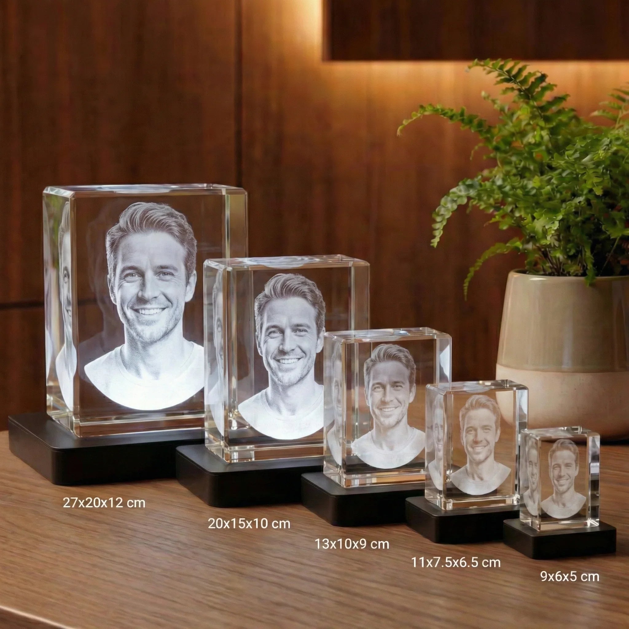 Portrait 3D gravé dans le verre, différents formats, cadeau personnalisé lumineux
