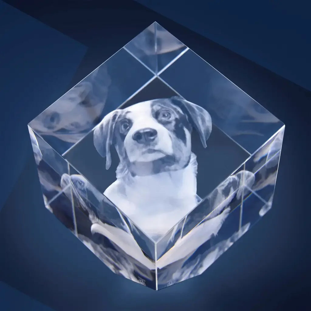 Statera XL Bloc de Verre Gravé Laser 3D - Cadeau Unique et Émotionnel