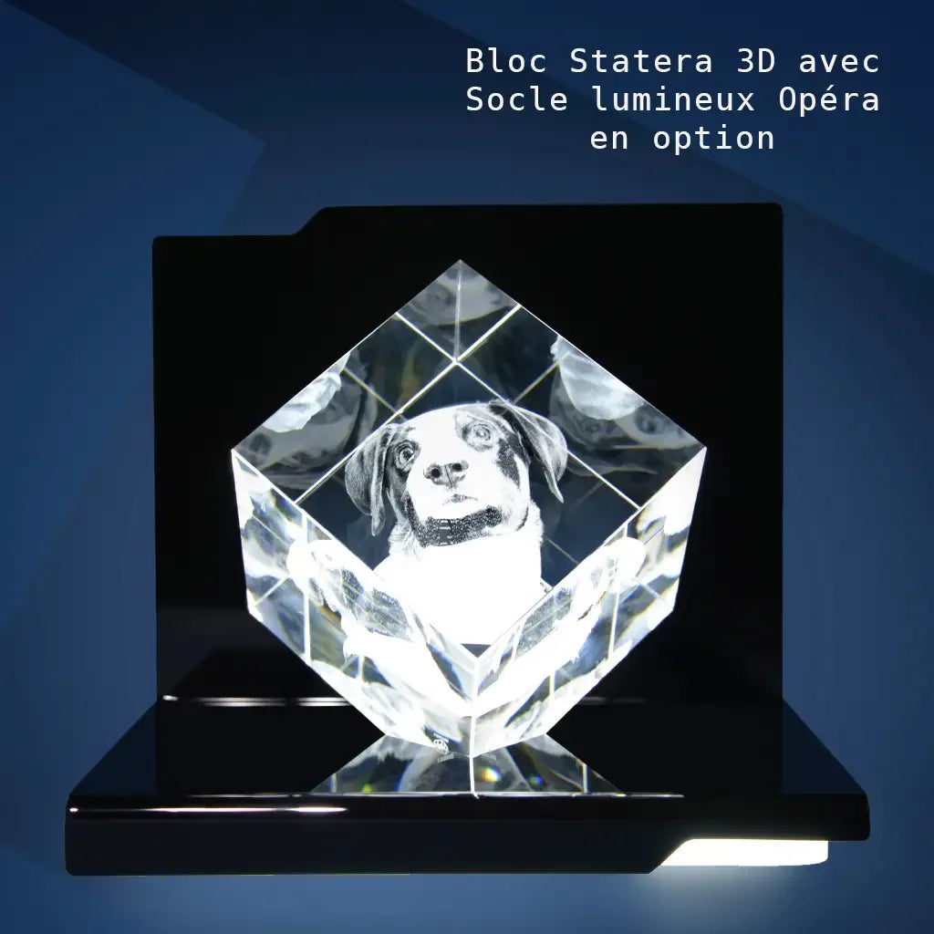 Statera XL Bloc de Verre Gravé Laser 3D - Cadeau Unique et Émotionnel