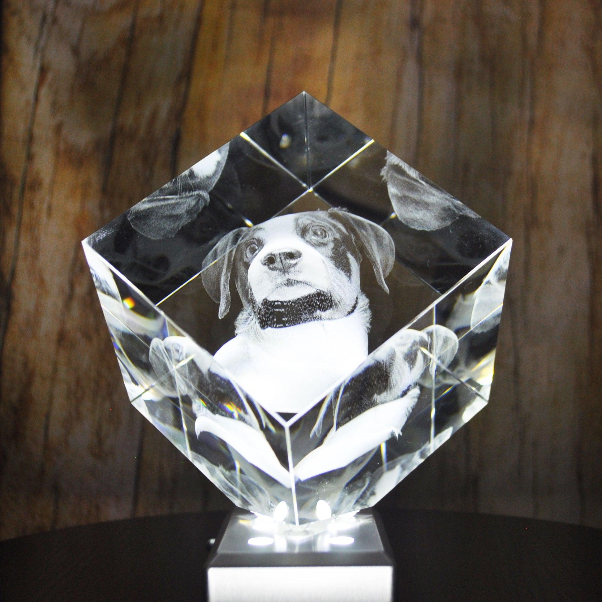 Photo du Bloc de Verre Statera taille XL - Gravure Laser 3D d'un chien.